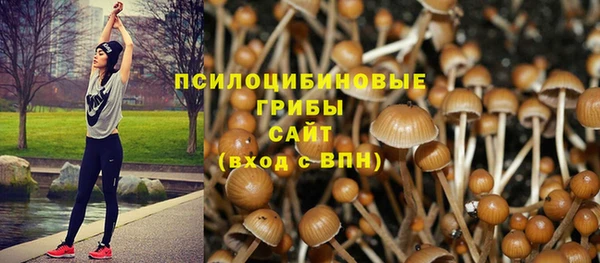 хмурый Арсеньев