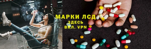 хмурый Арсеньев