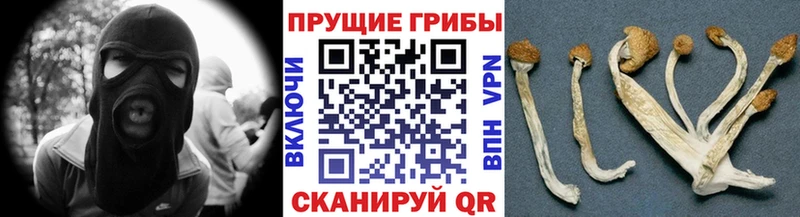 купить закладку  mega сайт  Галлюциногенные грибы Magic Shrooms  площадка какой сайт  Буинск 